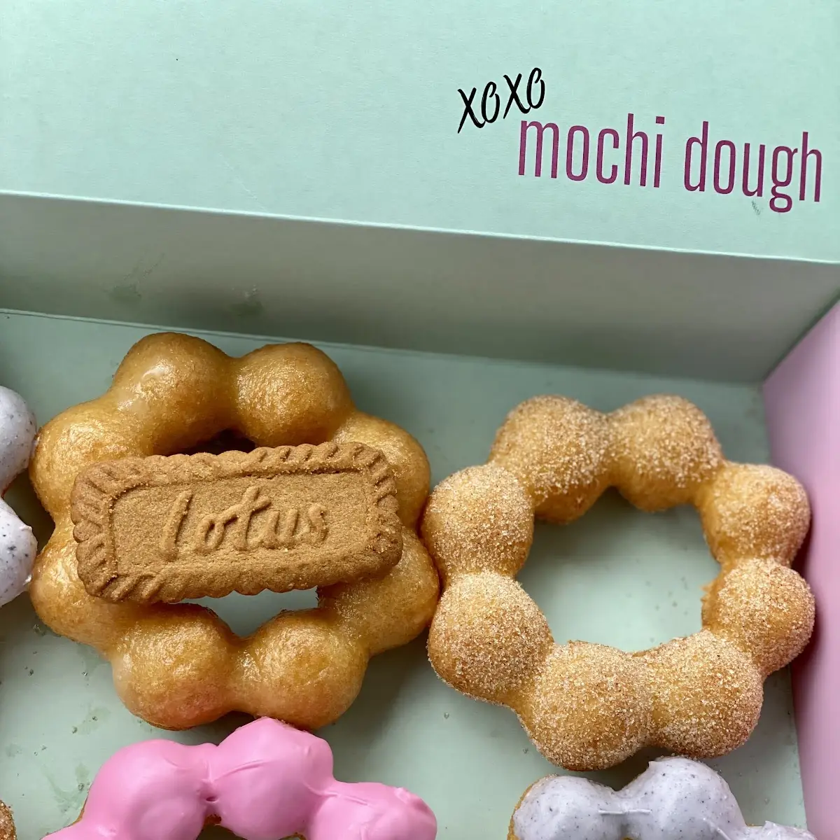Doughnut