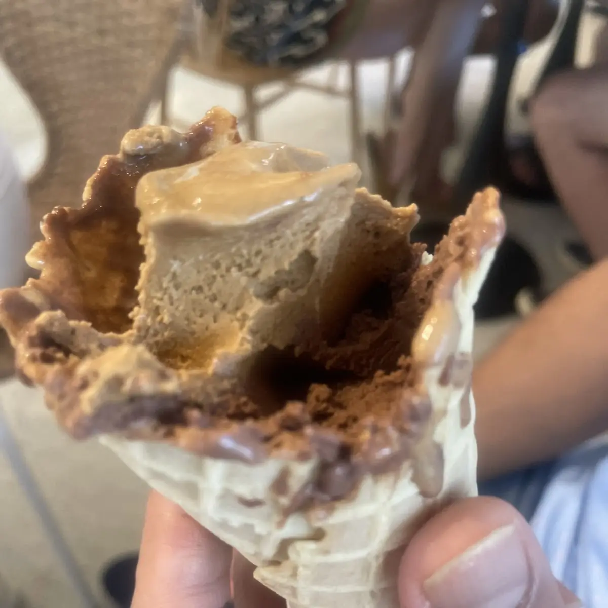 Dulce De Leche with Chocolate Ice Cream