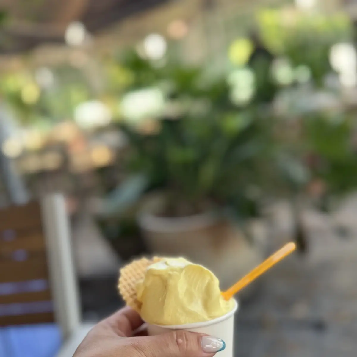 Gelato