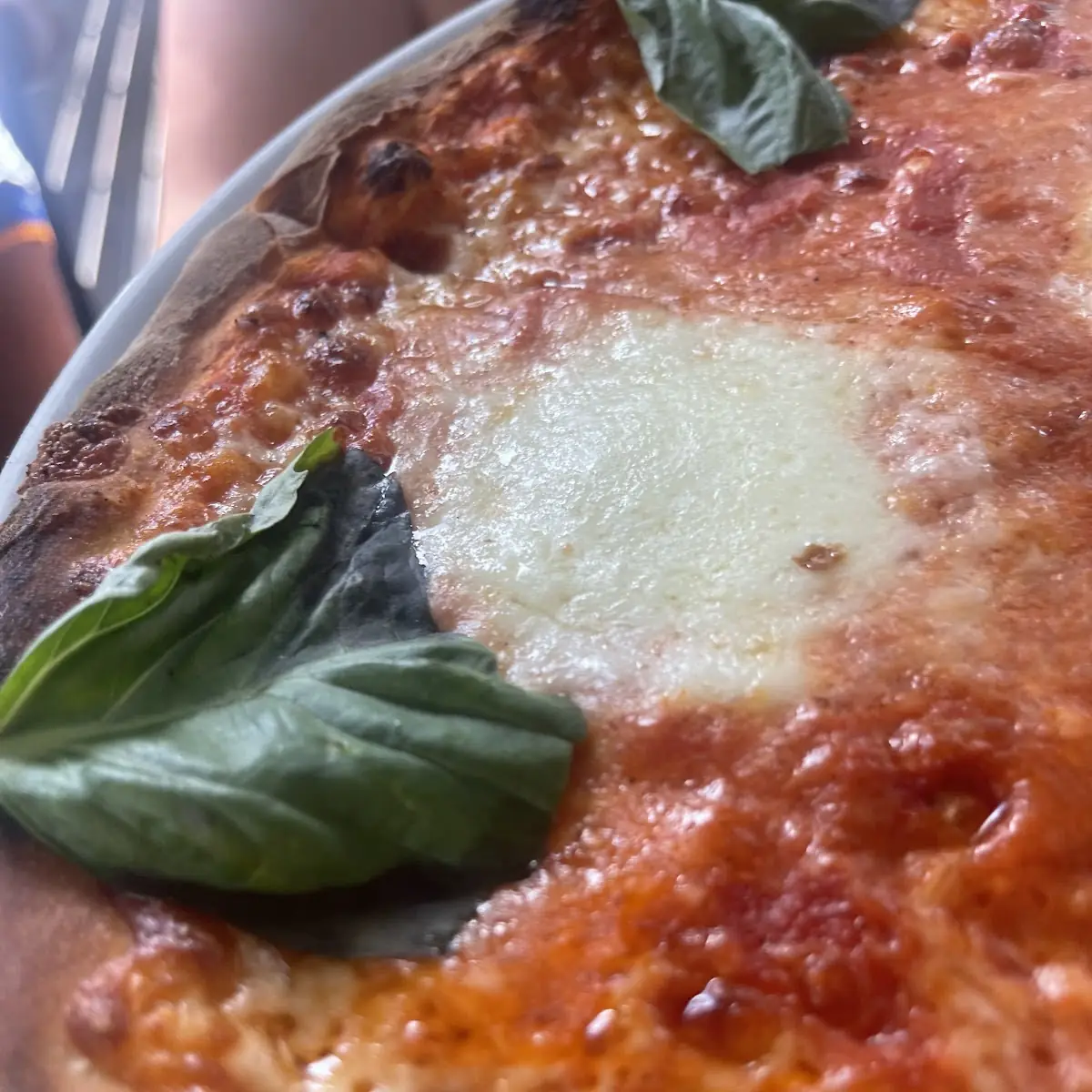 Margarita Pizza Margherita Pizza