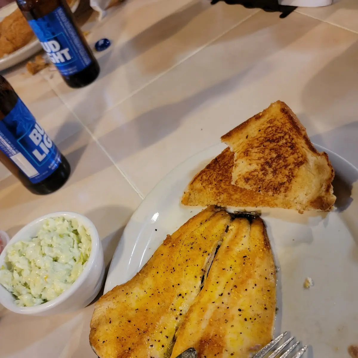Rainbow Trout