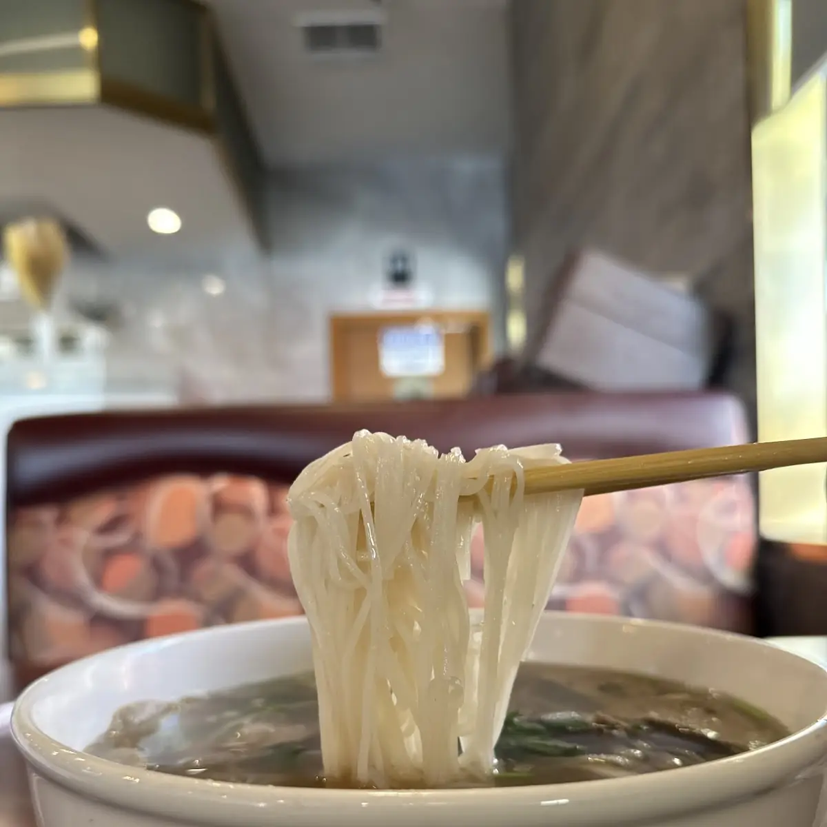 Tofu Skin