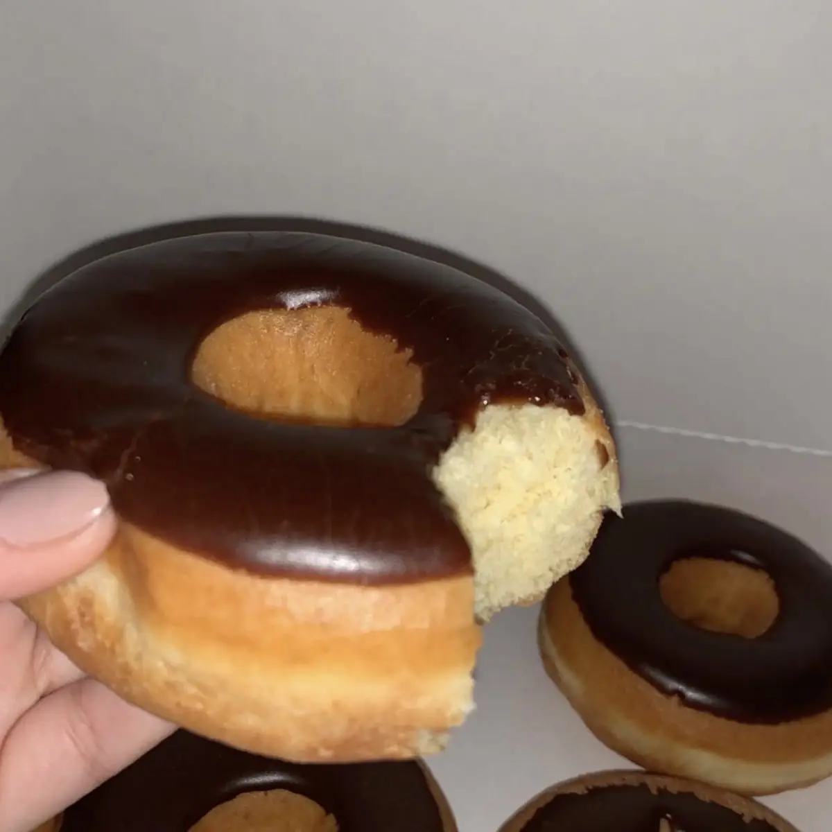 Chocolate Frosted Donut