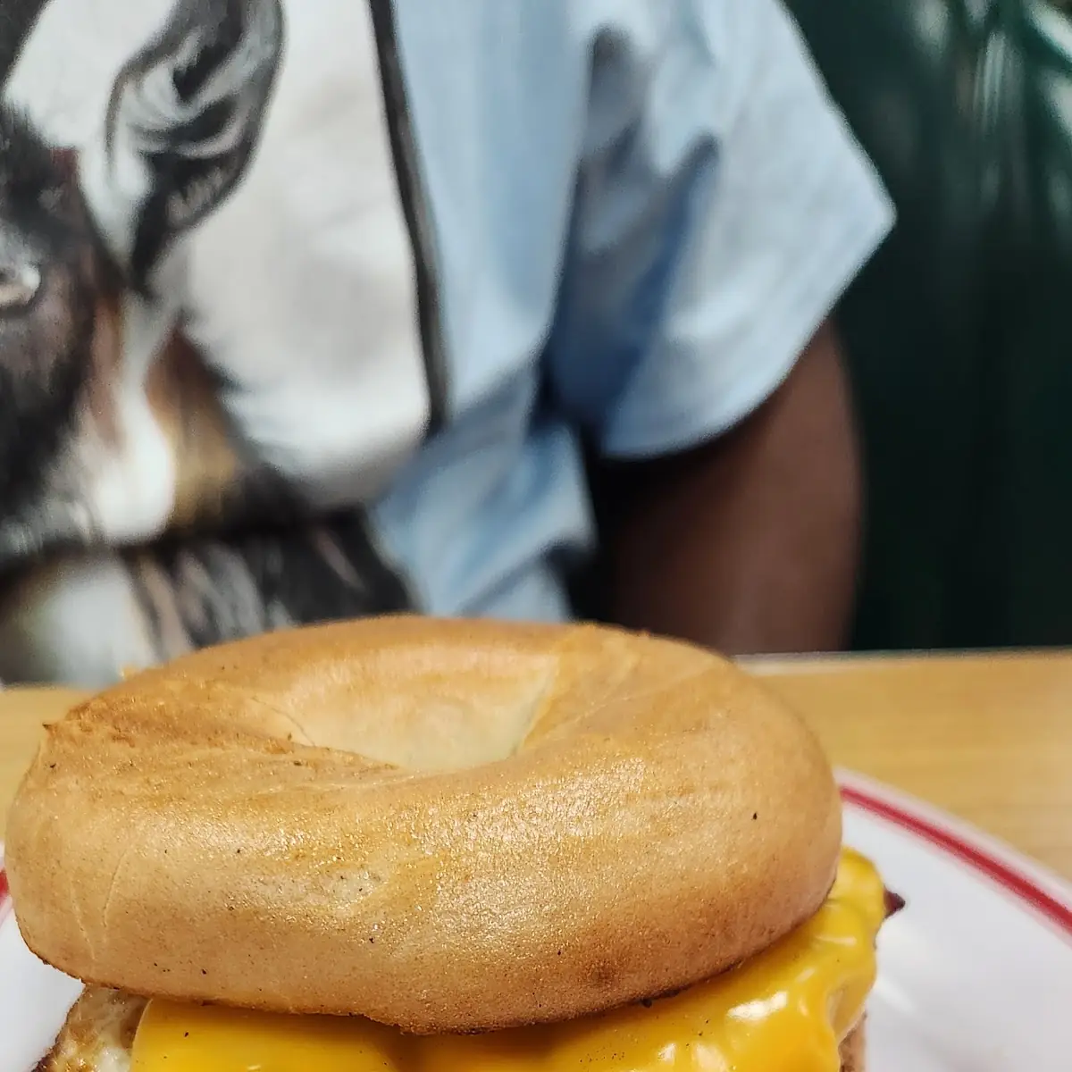 Bacon Egg Cheese
