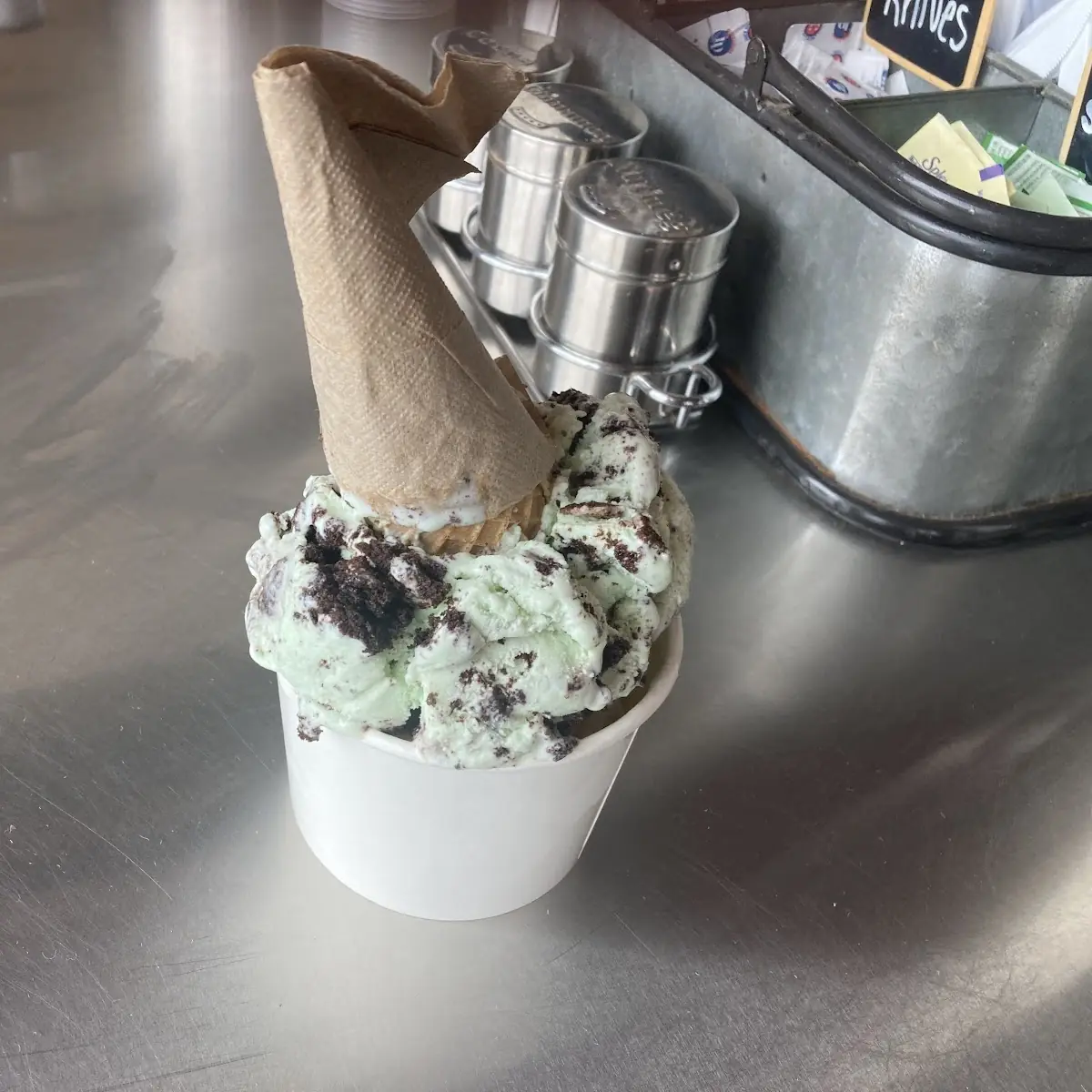 Mint Chocolate Chip