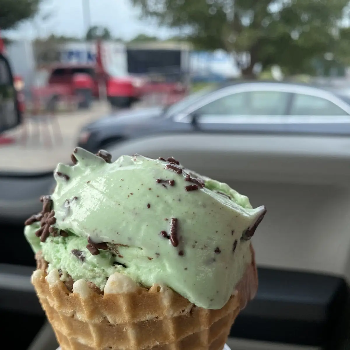 Mint Chocolate Chip Ice Cream Cone