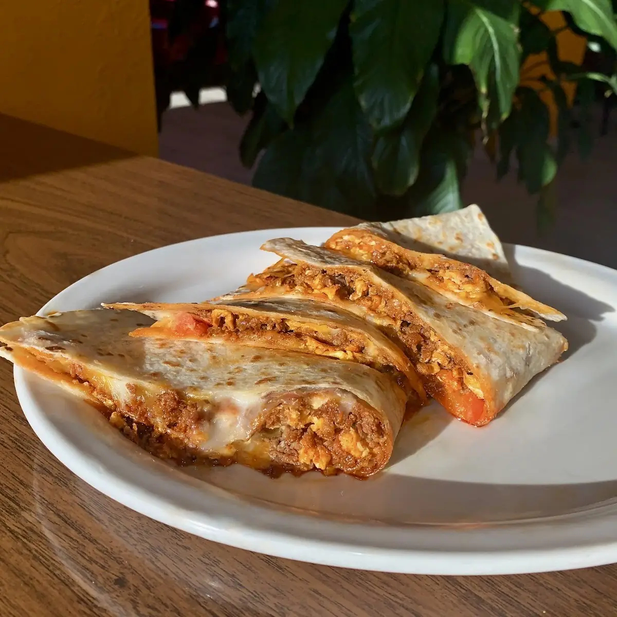 Chicken Quesadilla