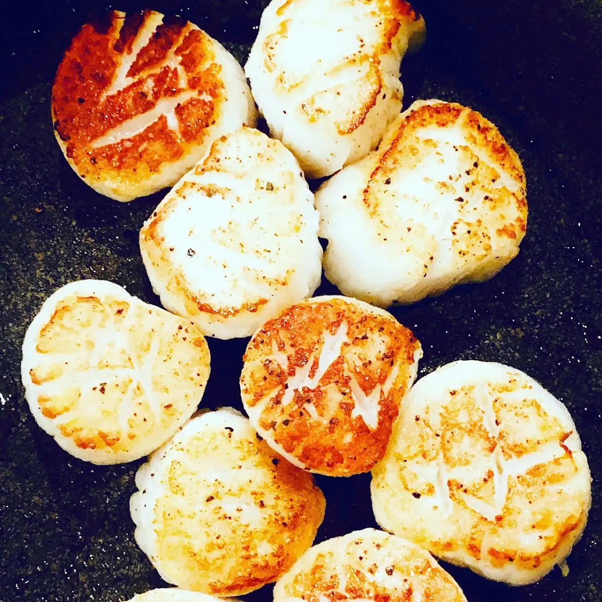Sea Scallops