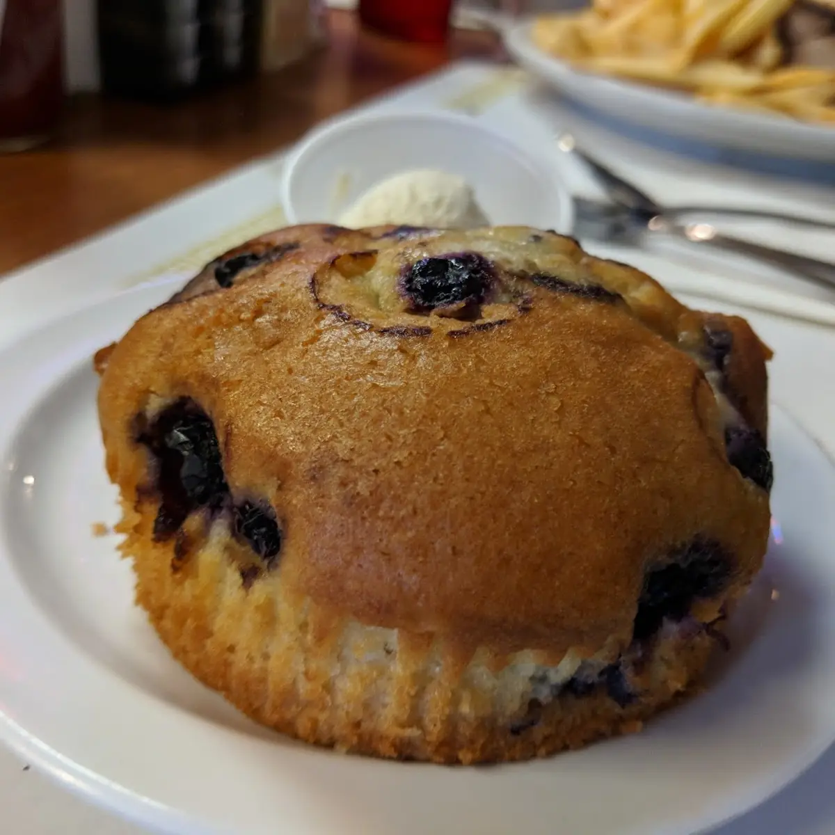 Blueberry Muffin