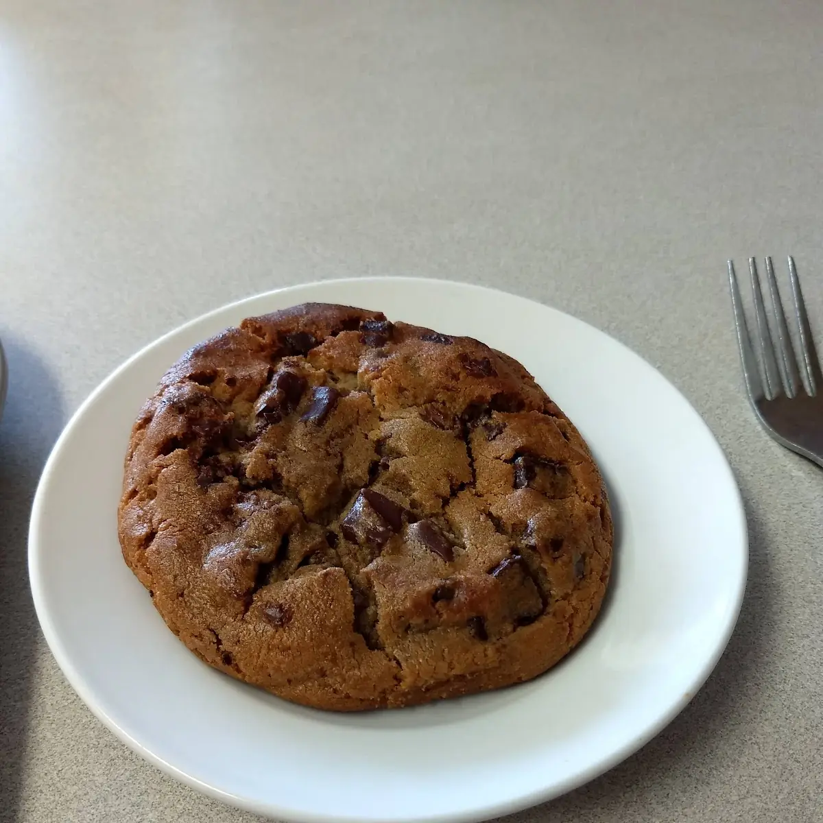 Warm Chocolate Chip Cookie