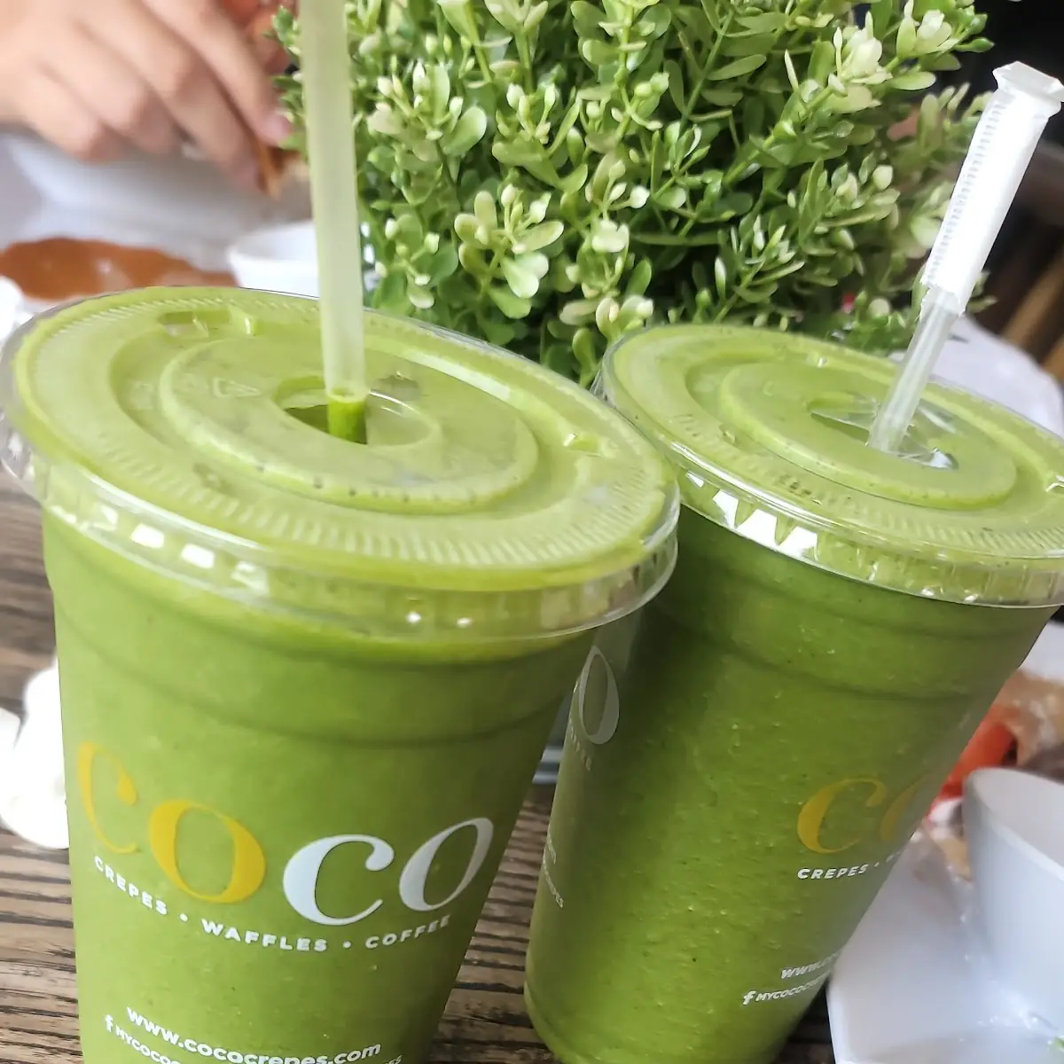 Iced Matcha