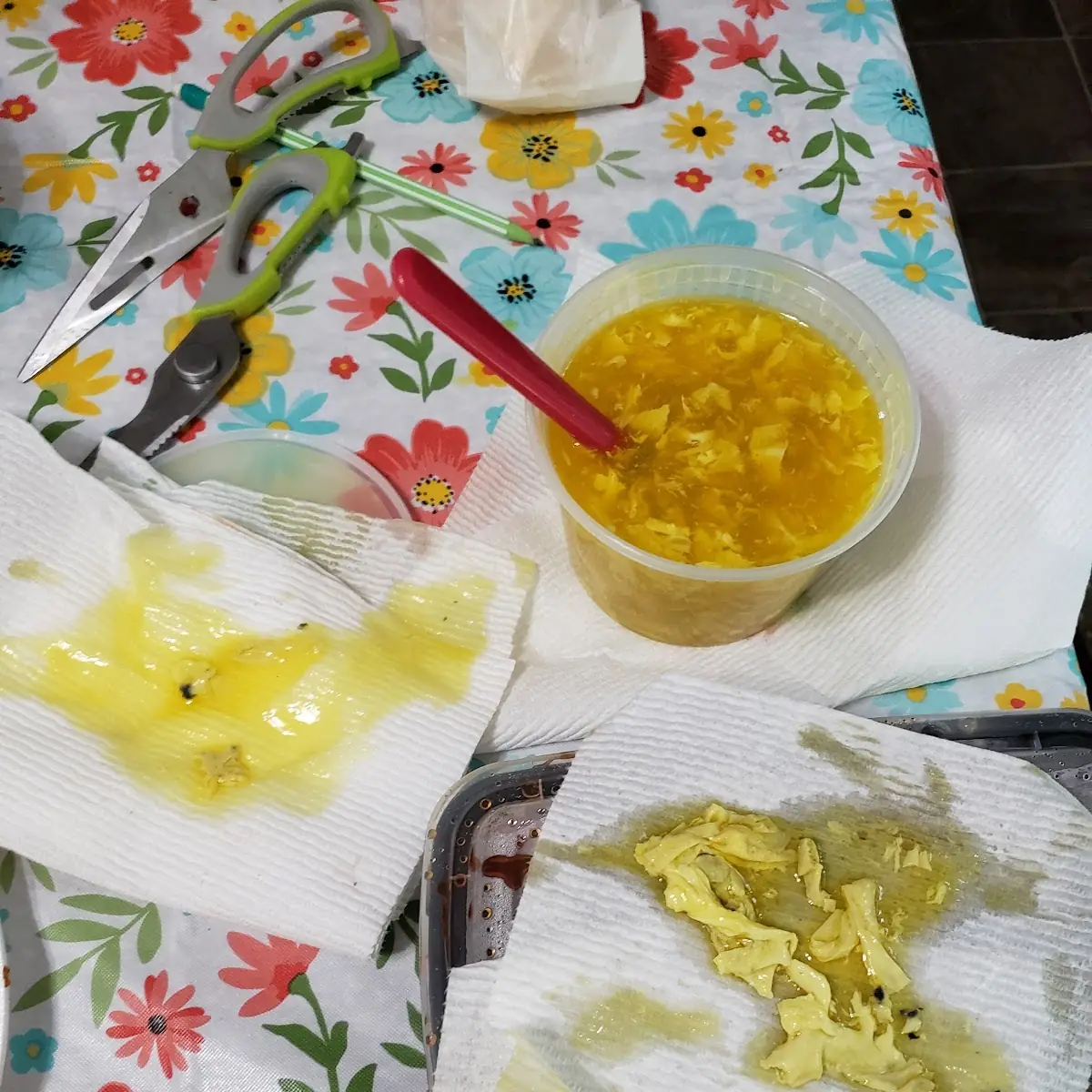 Moldy Egg Drop Soup