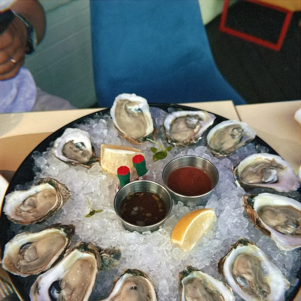 Oysters