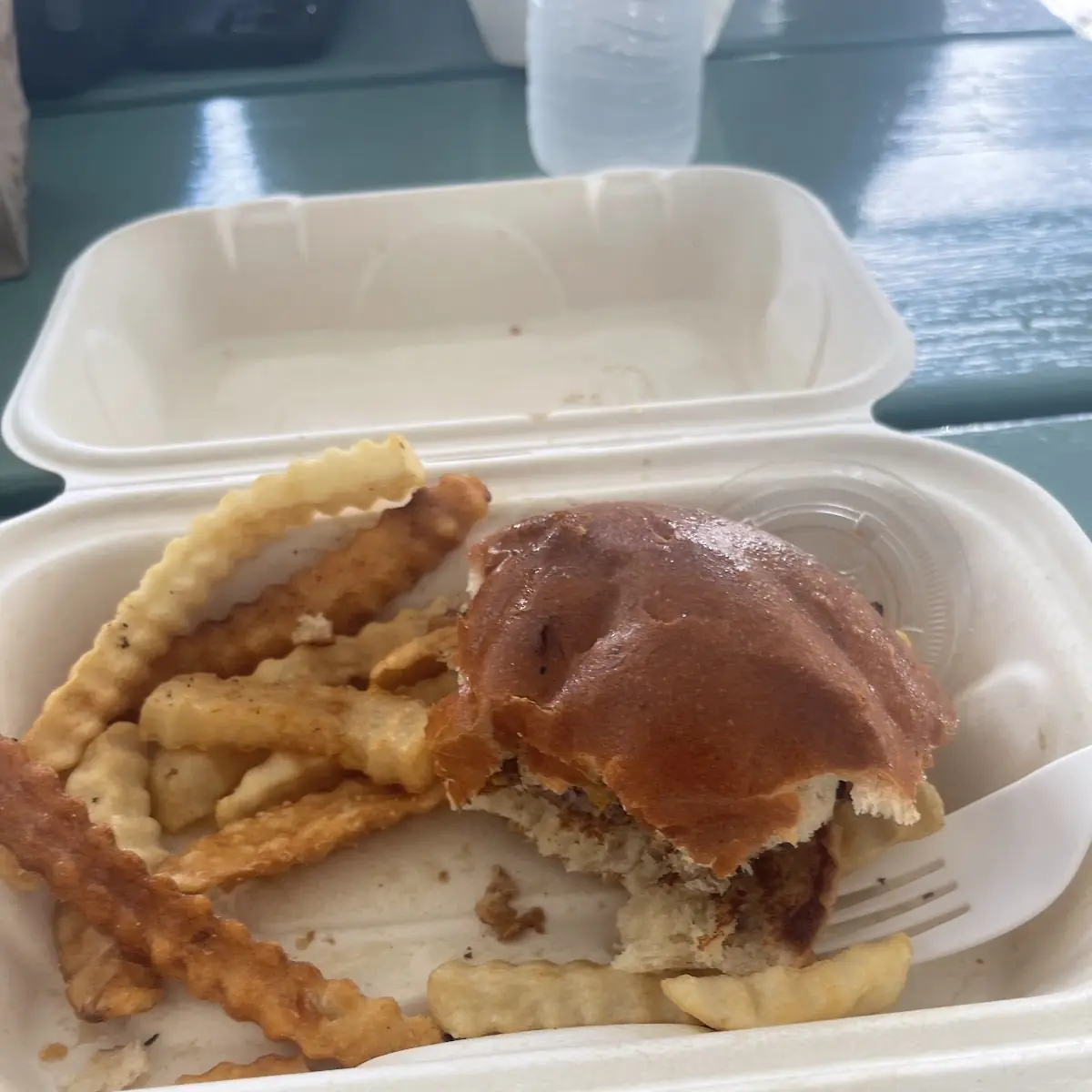 Kids Cheeseburger and Fries