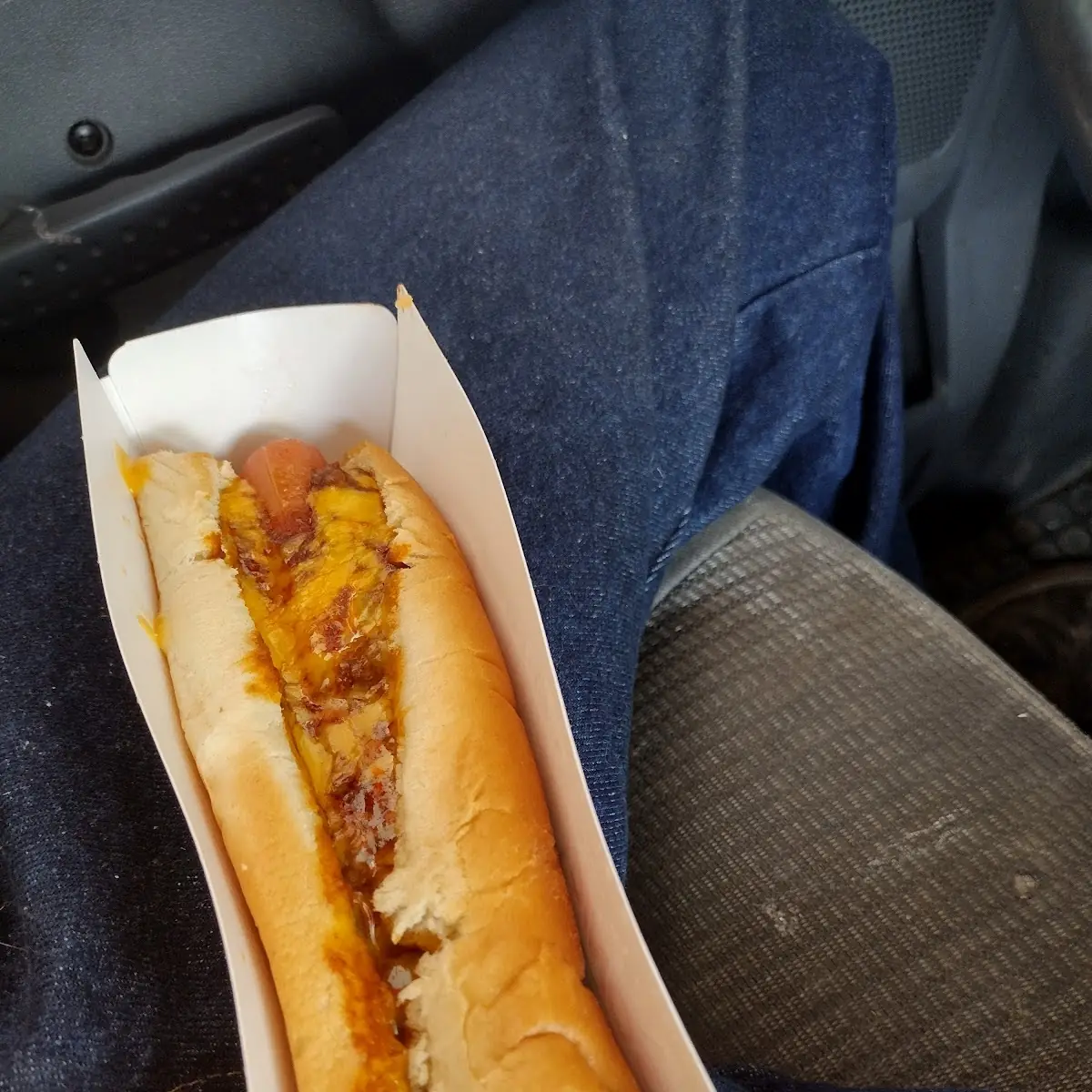 Chilli Cheese Dog