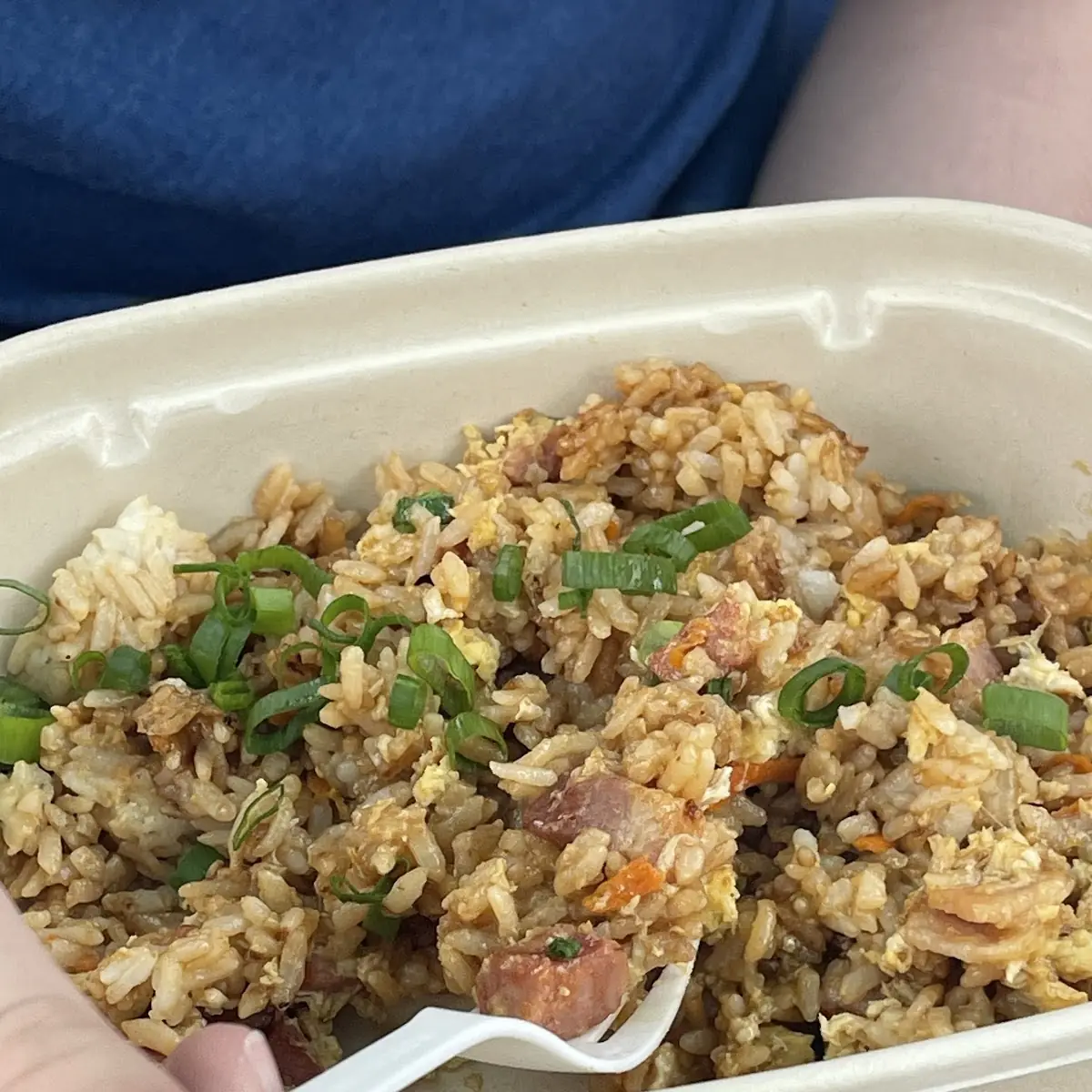 Fried Rice Bowl