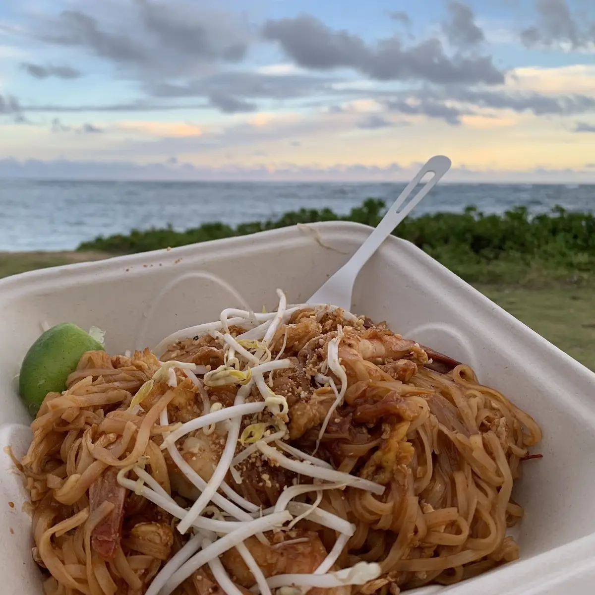 Chicken Pad Thai