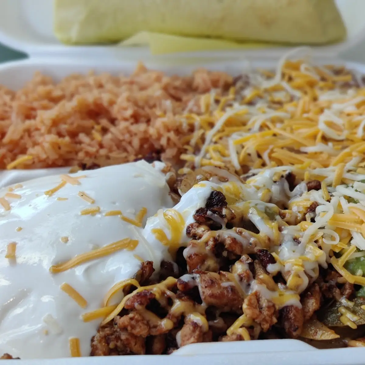Wet Burrito & Chicken Enchilada