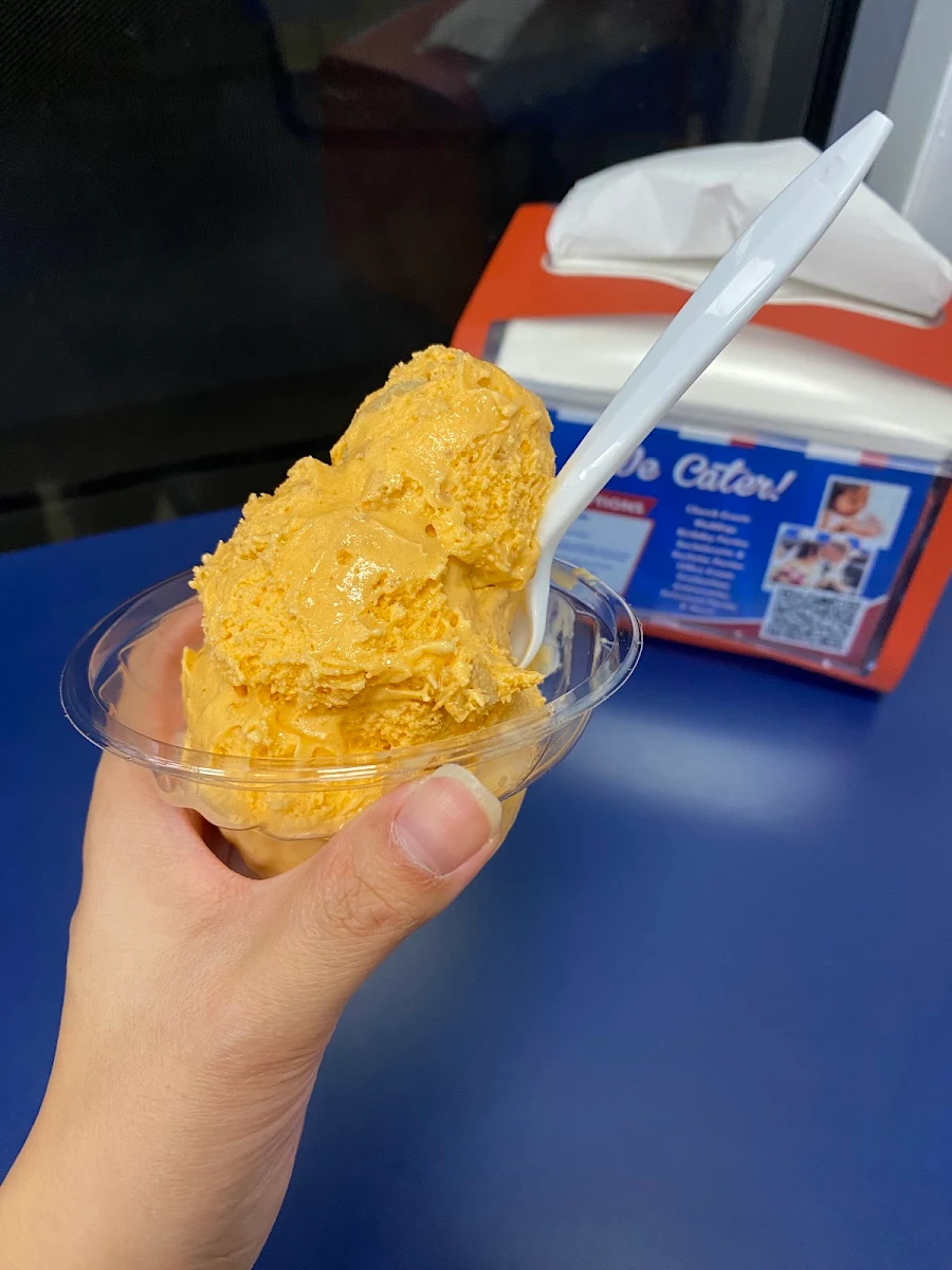 Pumpkin Pie Ice Cream