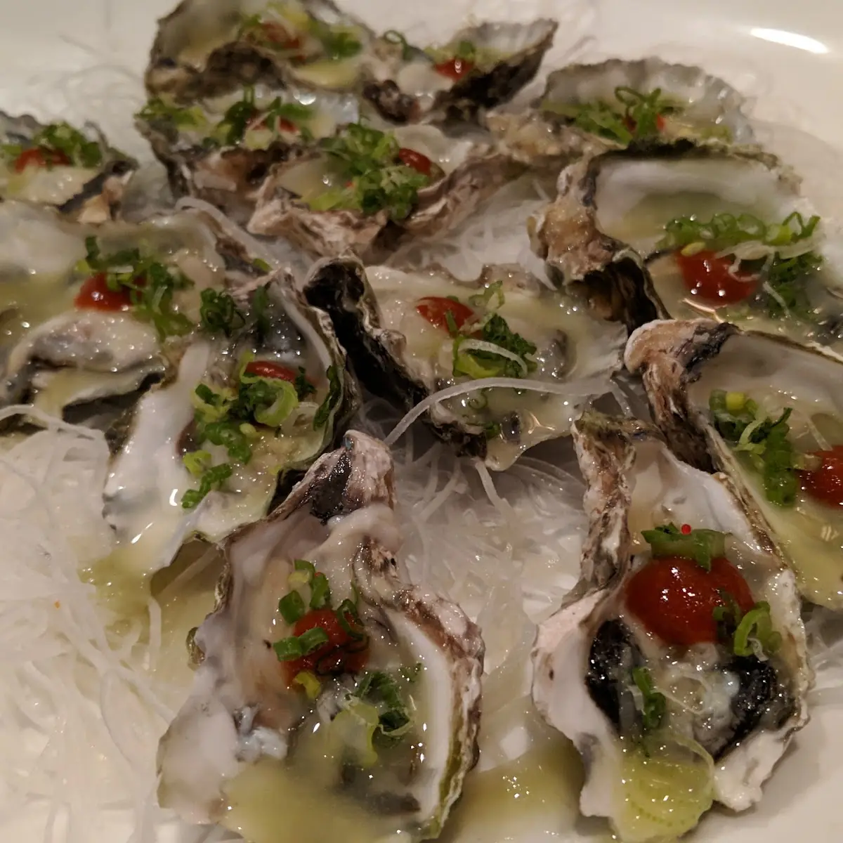 Raw Oysters Kumamotos