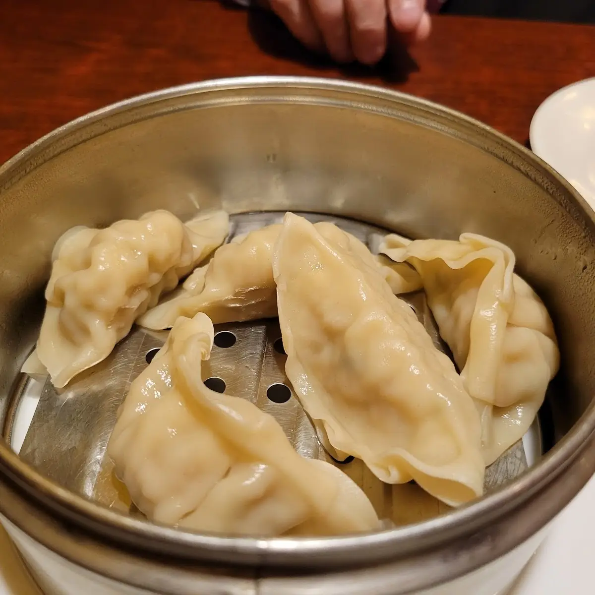 Gyoza Pork Dumplings