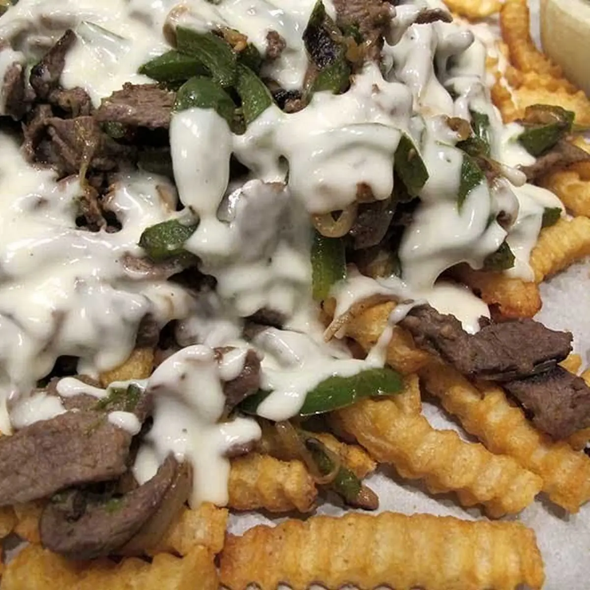 Carne Asada Fries