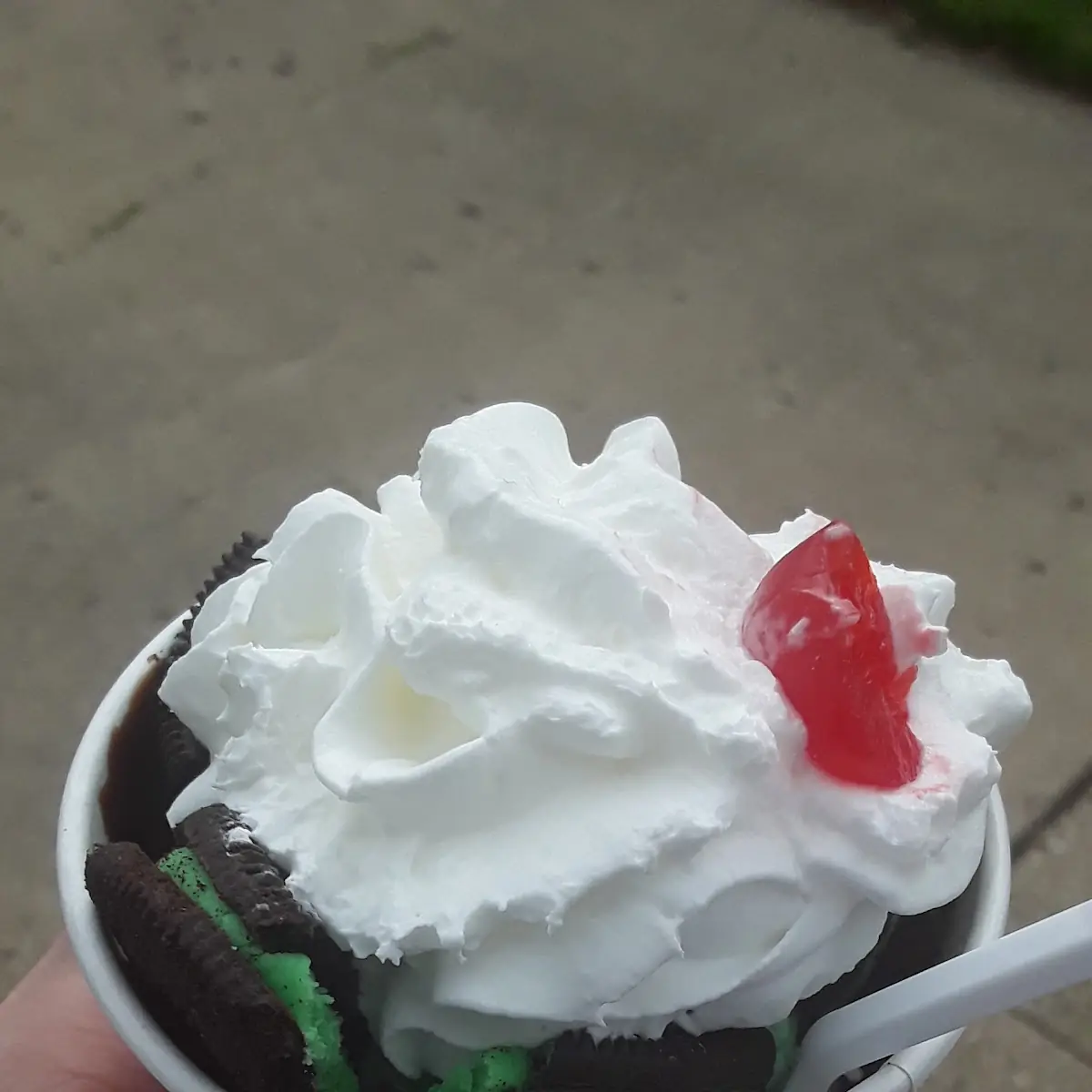 Mint Chocolate Chip Cookie Supreme