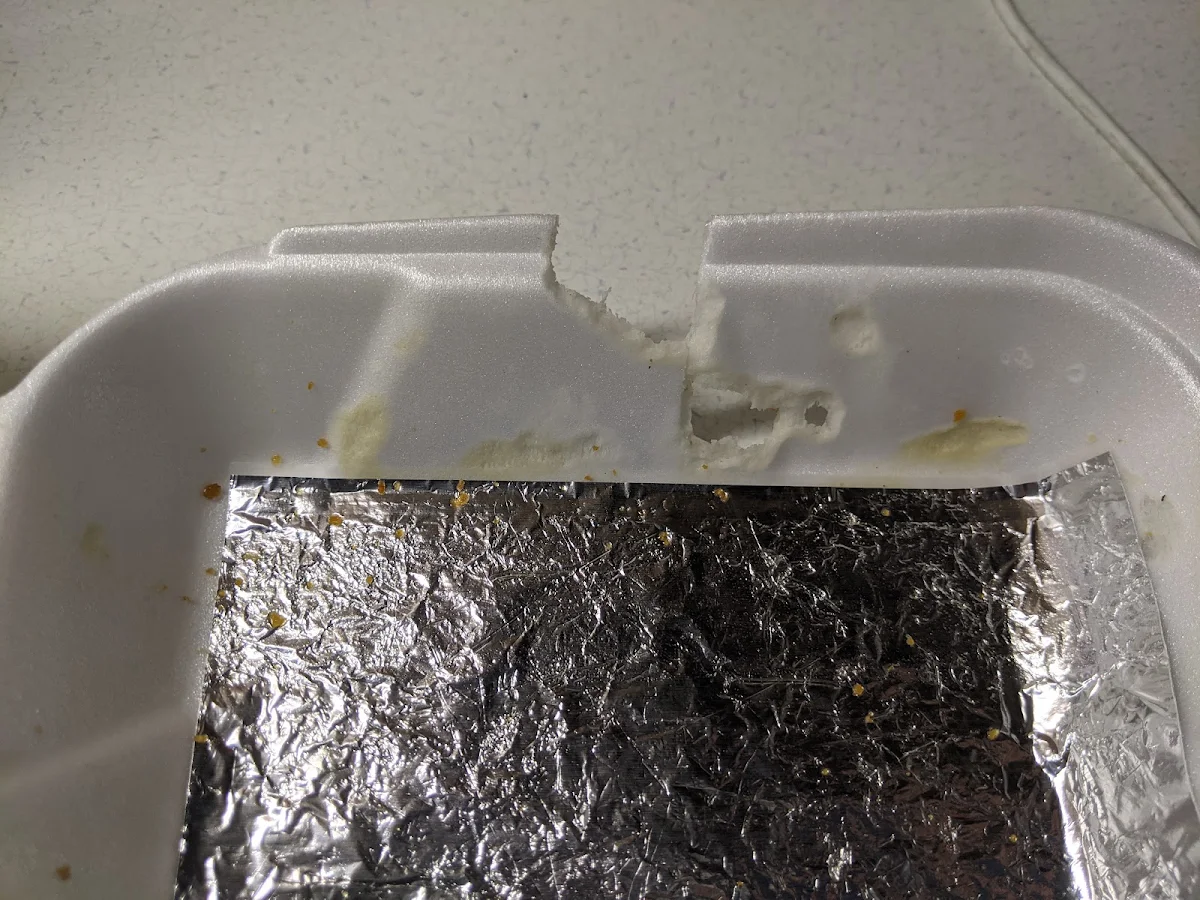 Jr Burger Tray with Mozzarella Cheese Bites