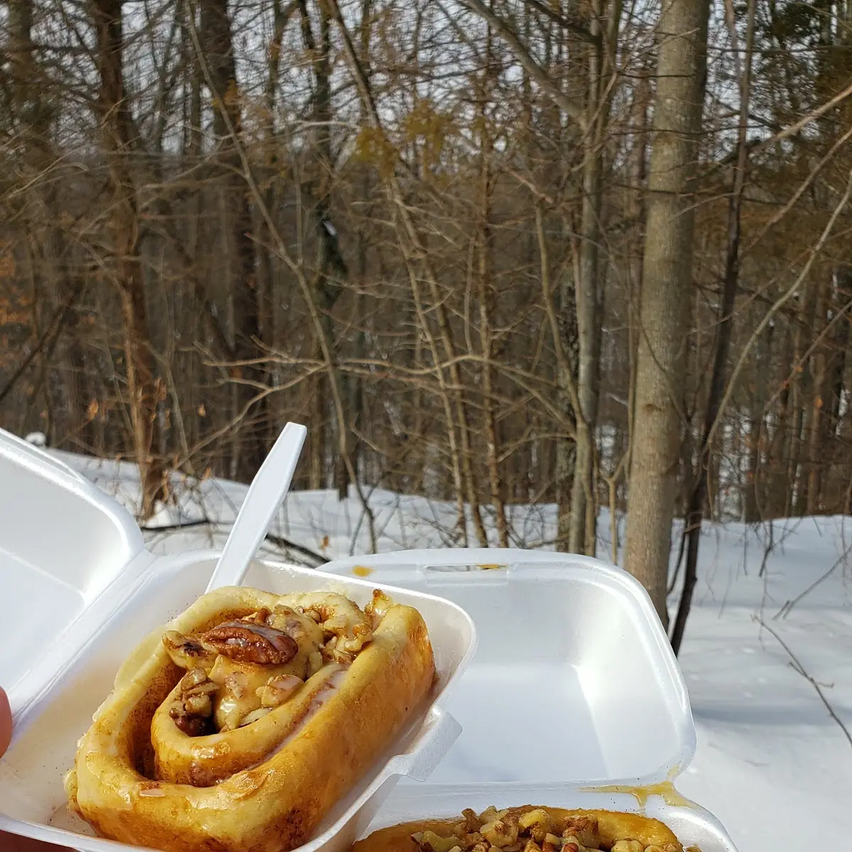 Cinnamon Rolls