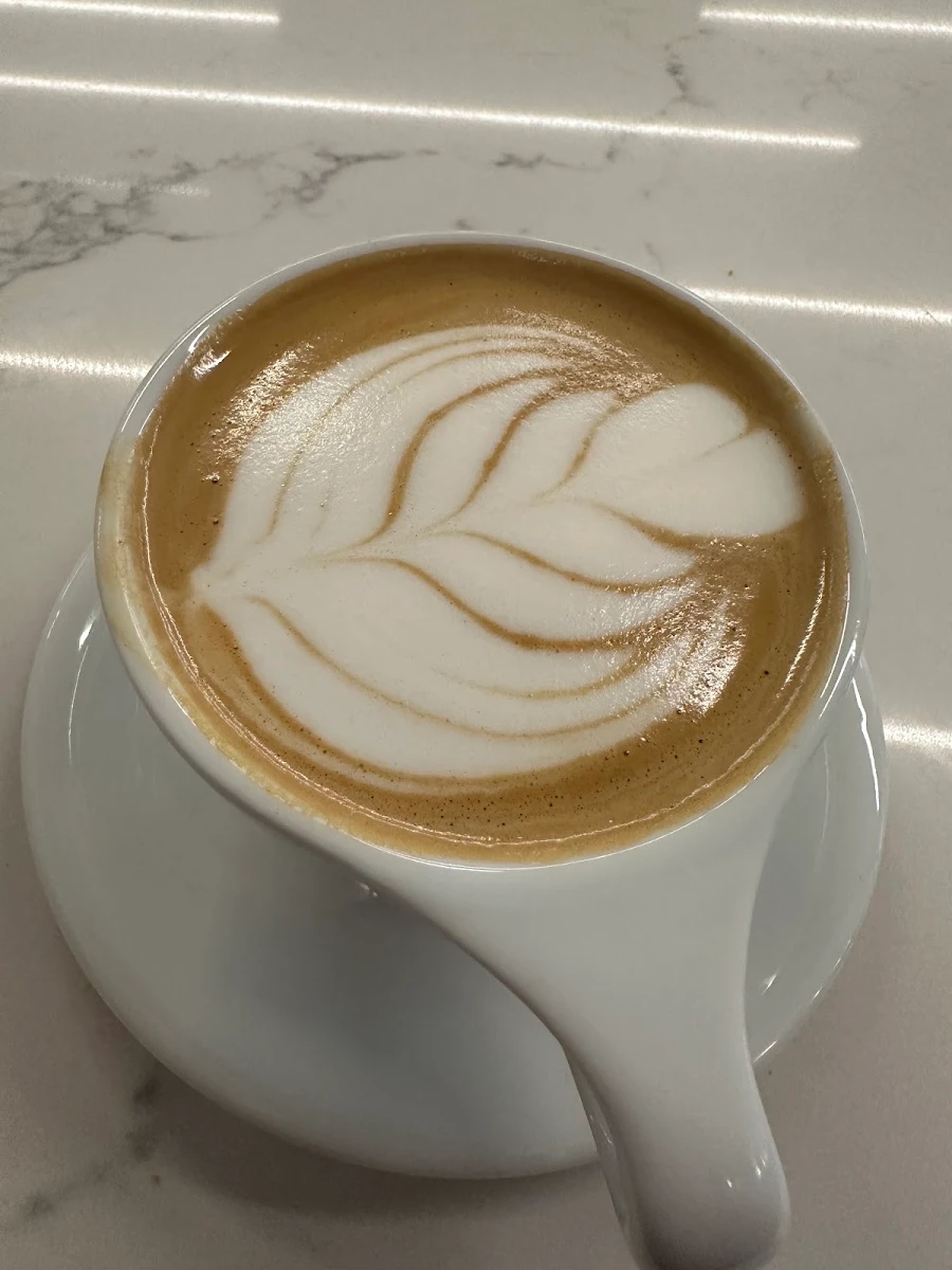 Milk Foam Latte Art