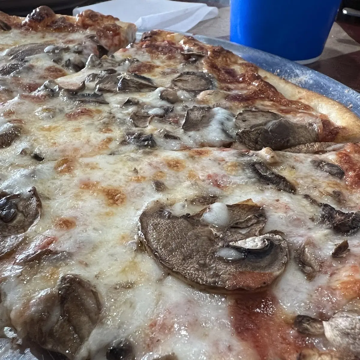 Mushroom Pizza
