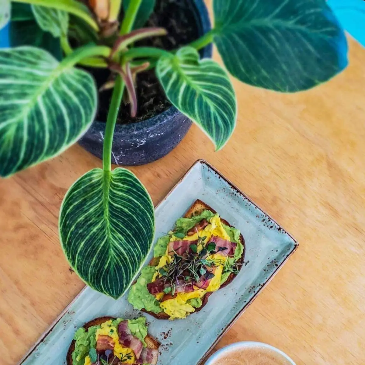 Avocado Toast