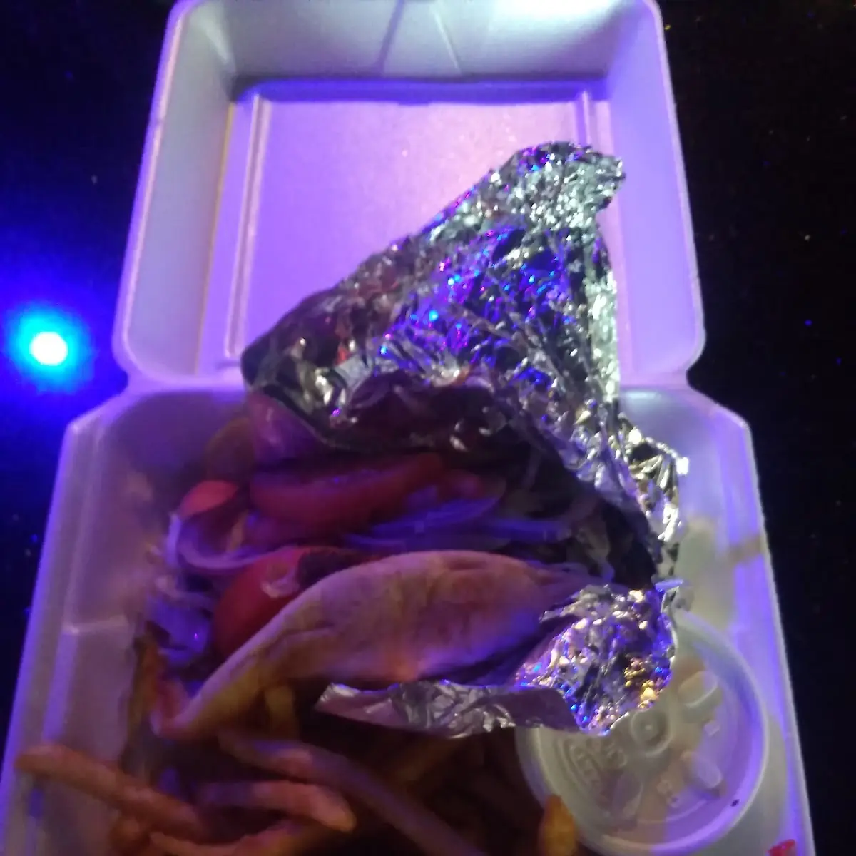 Gyro Sandwich