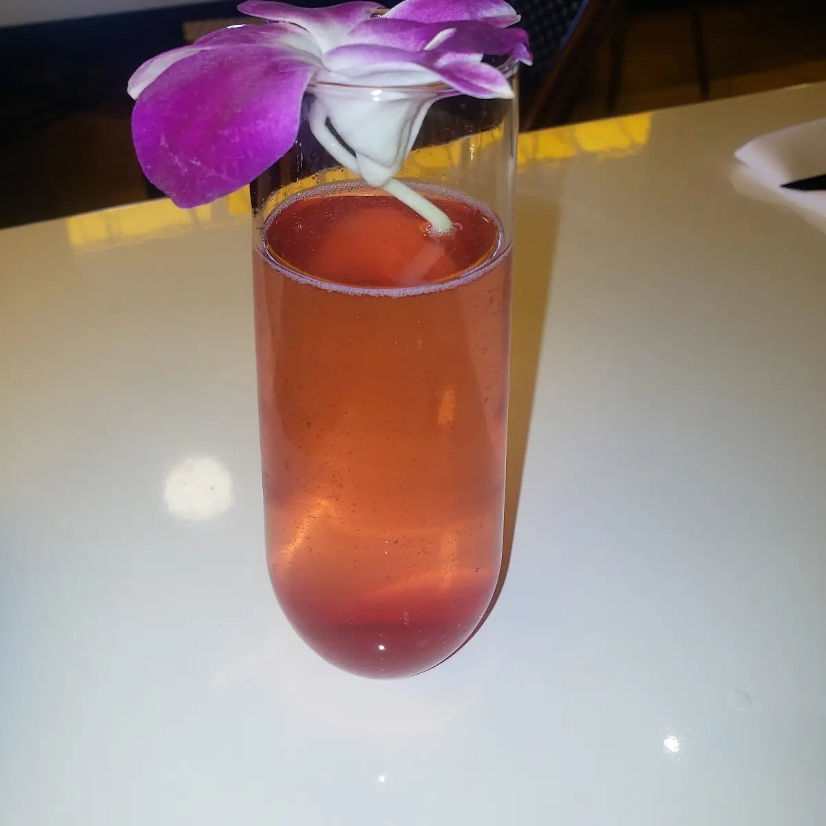 Prickly Pear Mimosa