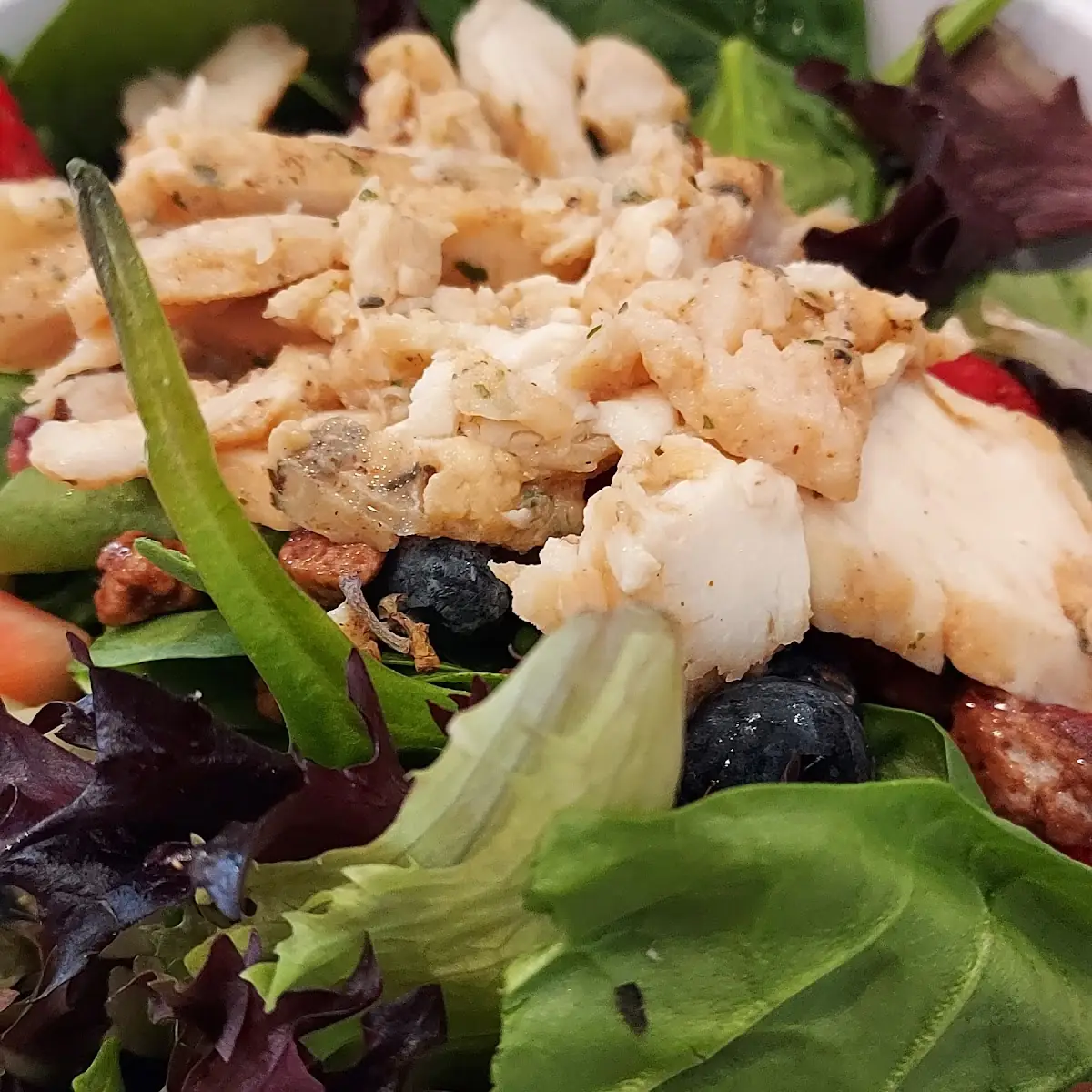 Harvest Chicken Salad