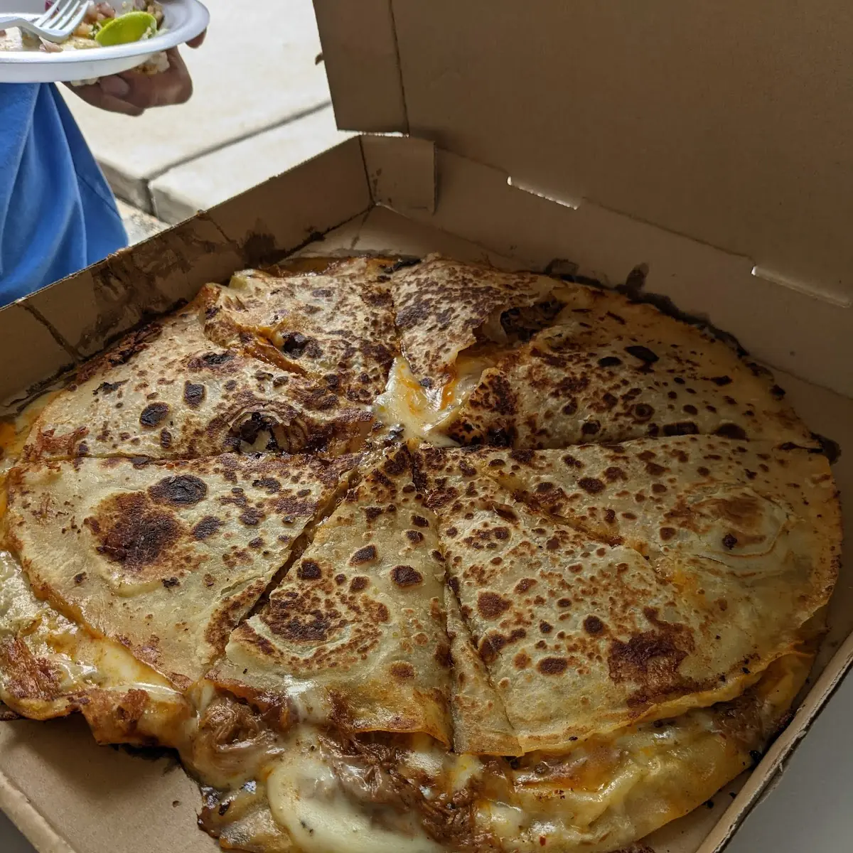 Birria Pizza