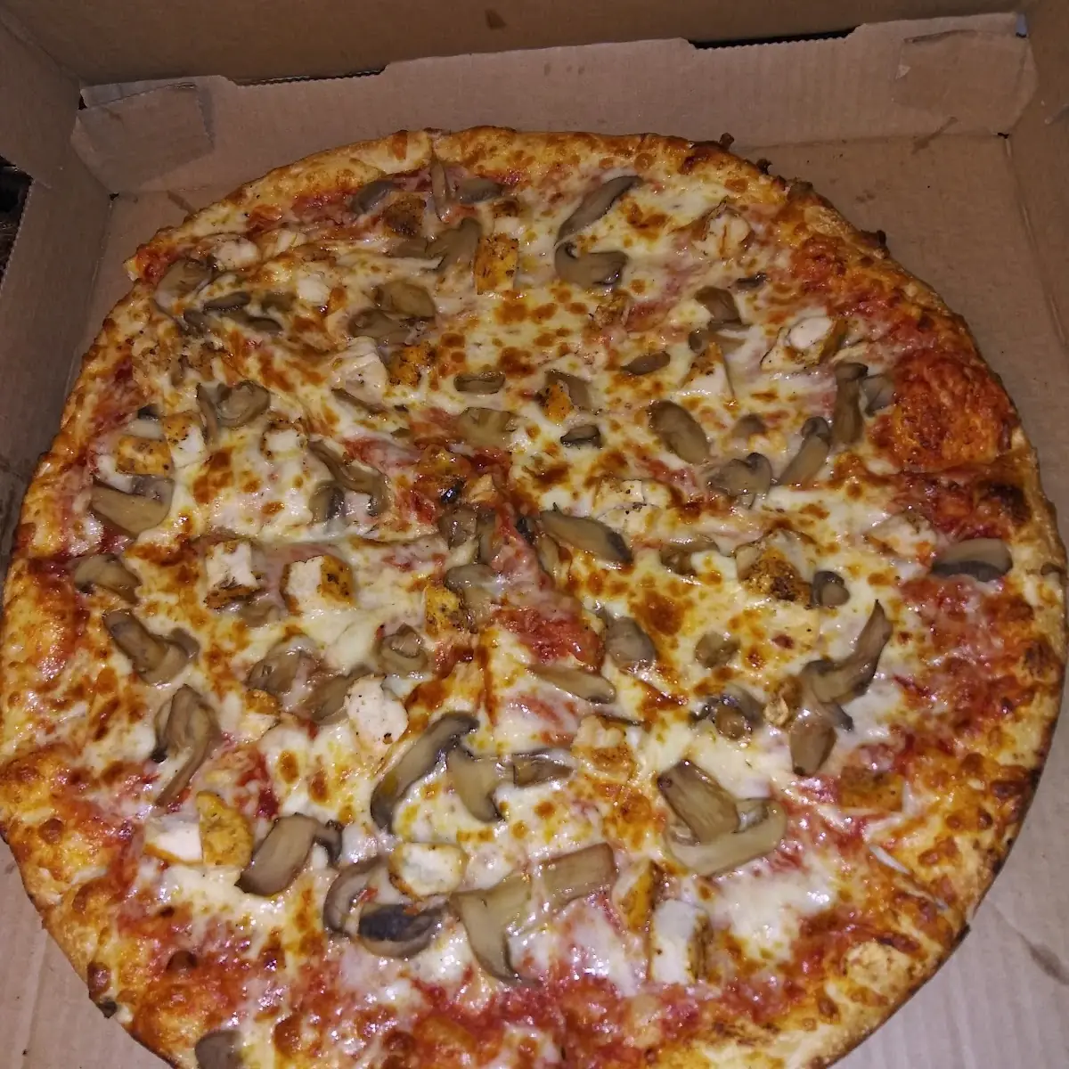 Large Chicken & Mushroom Pizza