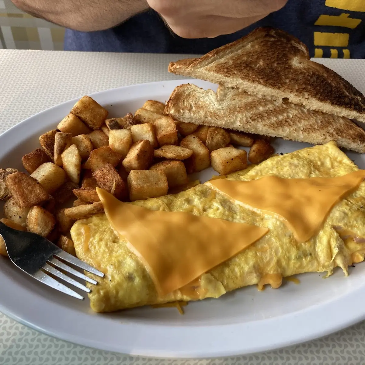 Ham and American Cheese Omelette