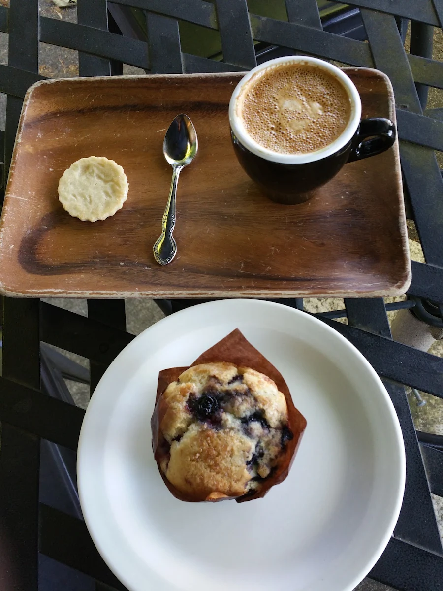 Low Fat Blueberry Muffin