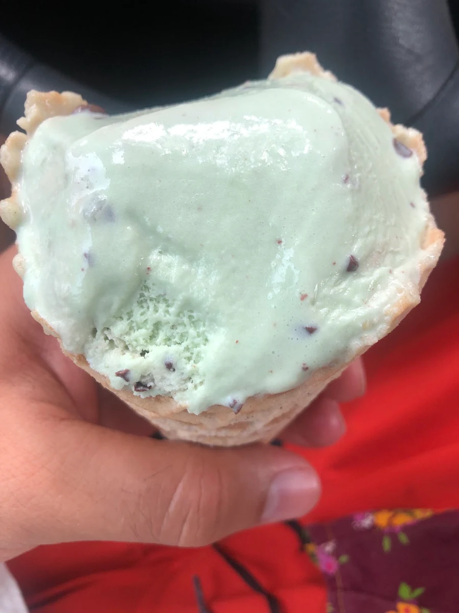 Mint Chocolate Chip