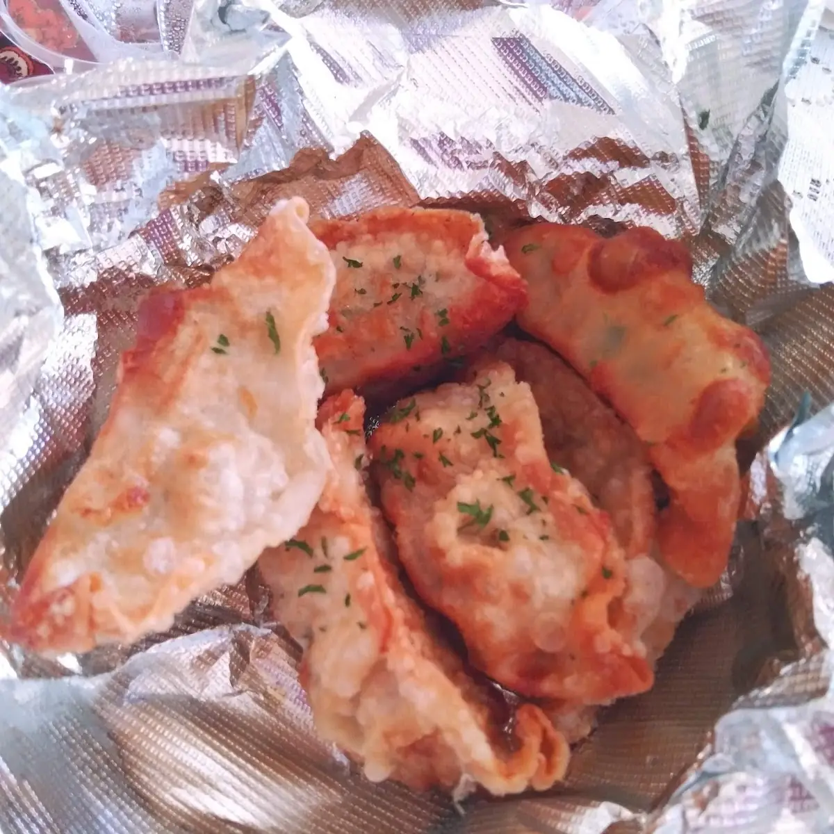 Gyozas Aka Fried Dumplings