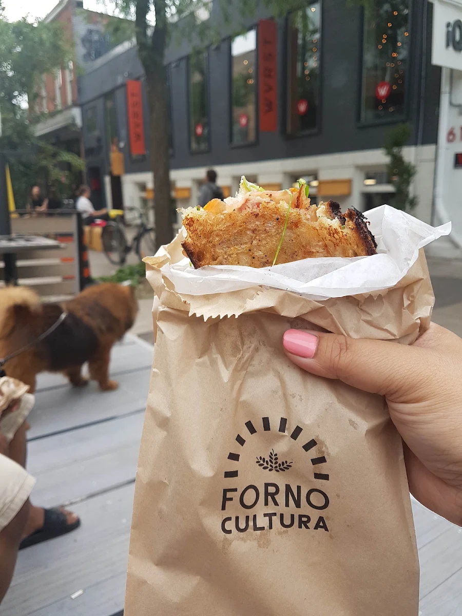 plt, Forno Cultura