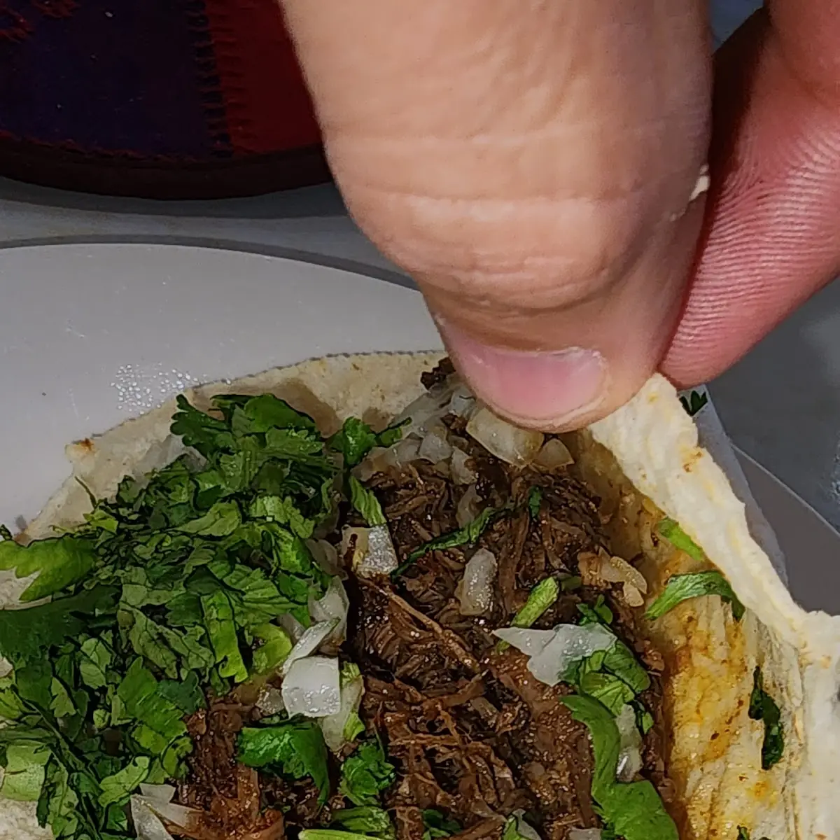 Barbacoa Taco