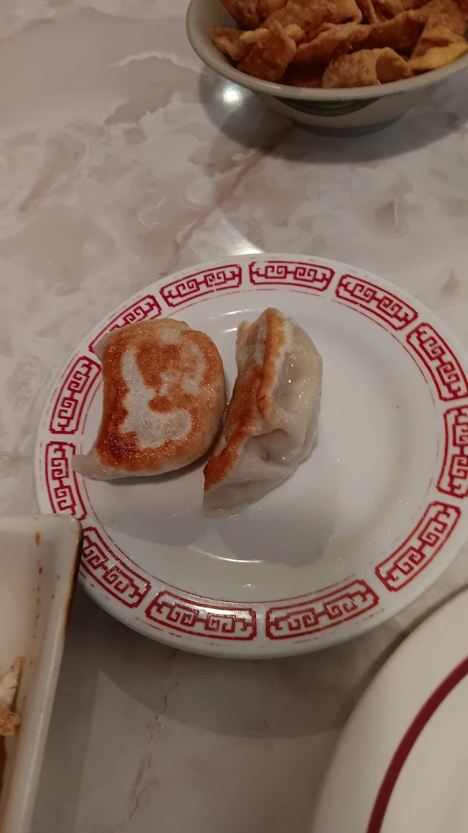 Pork Dumplings
