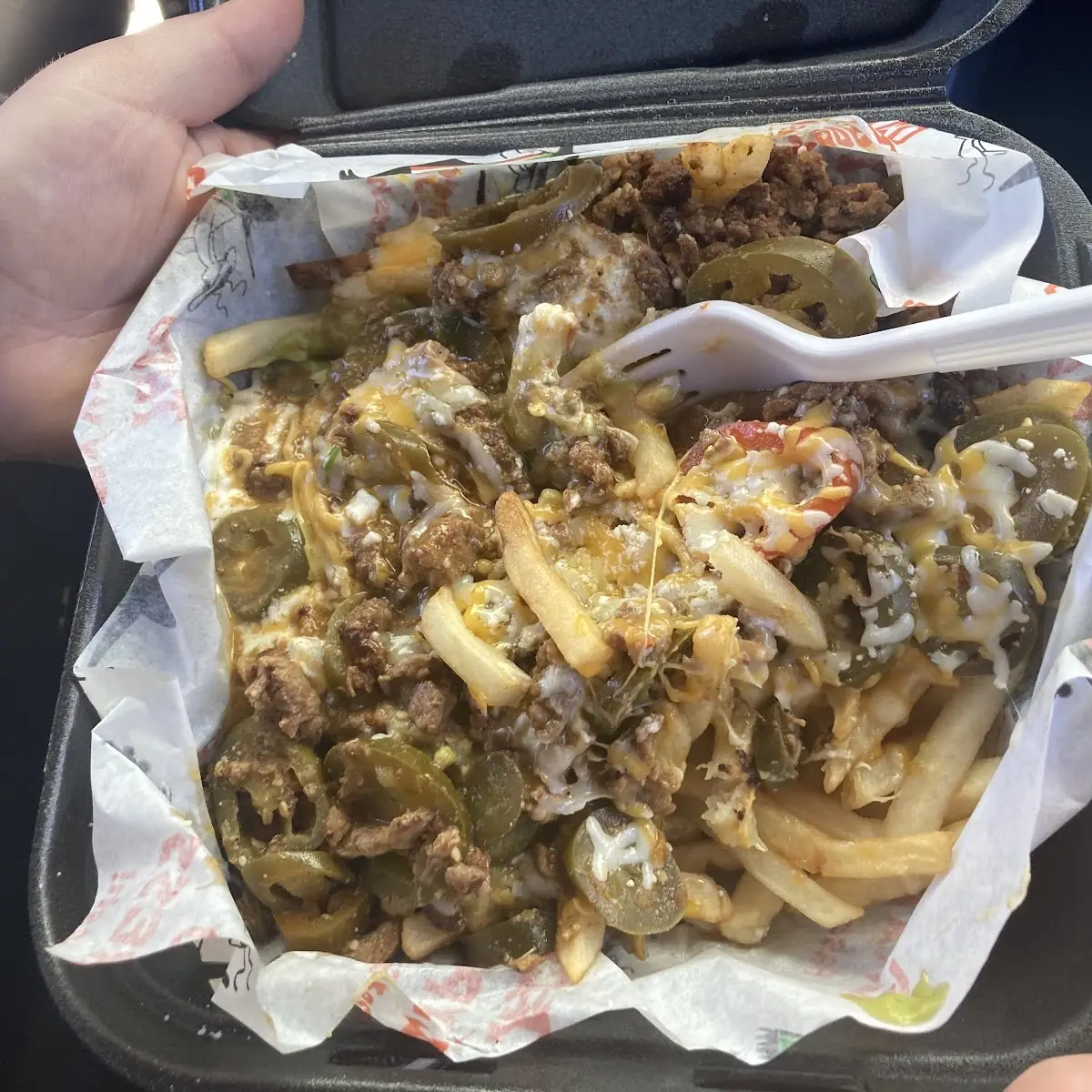 Carne Asada Fries with Cheese Fries