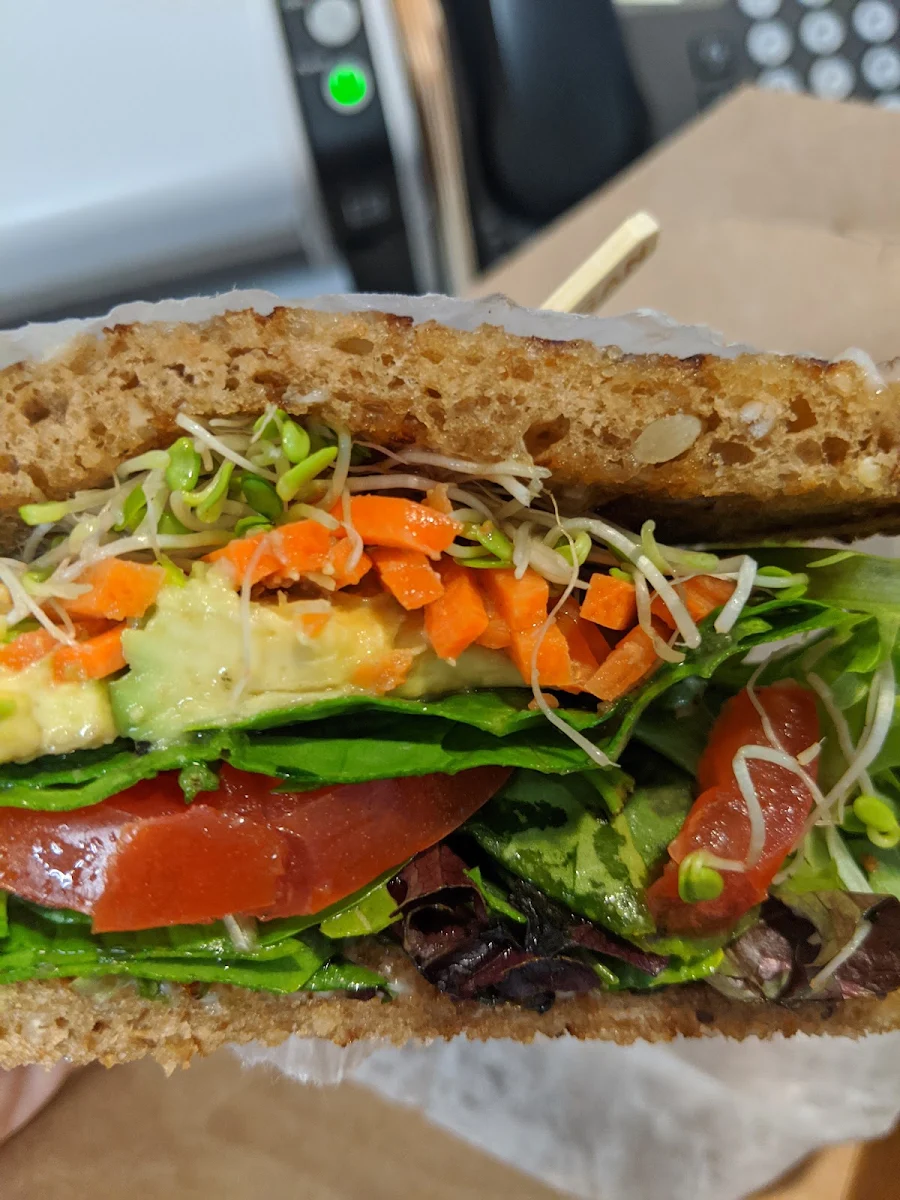 Mixed Veggie & Red Pepper Hummus Sandwich