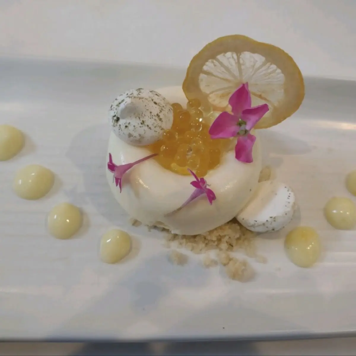 Tahitian Vanilla Panna Cotta in Tropical Fruit Soup