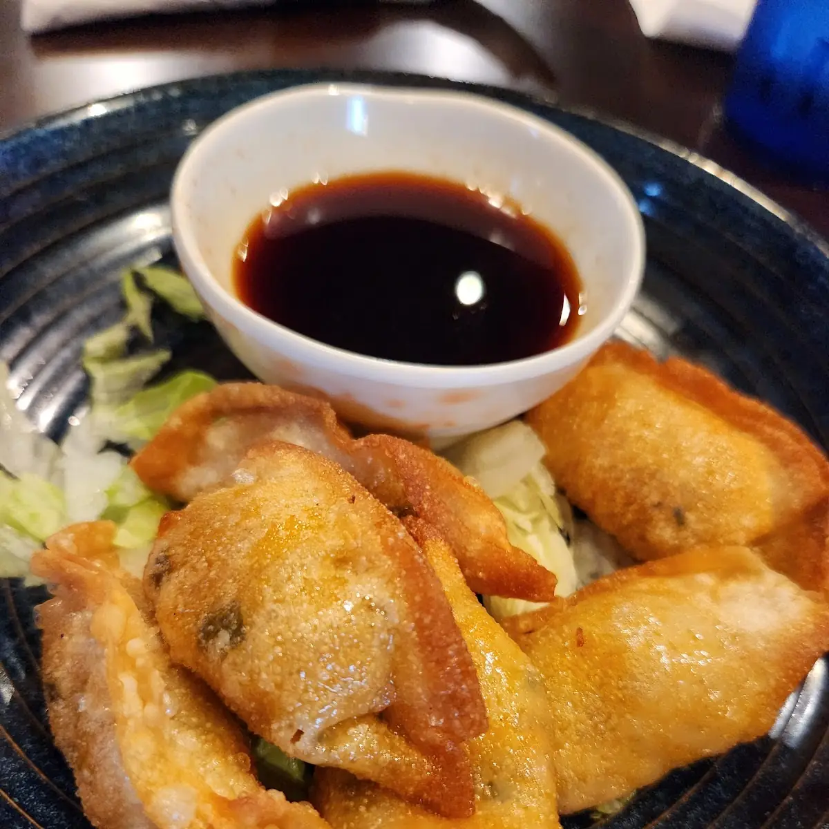Deep Fried Pork Dumplings 6