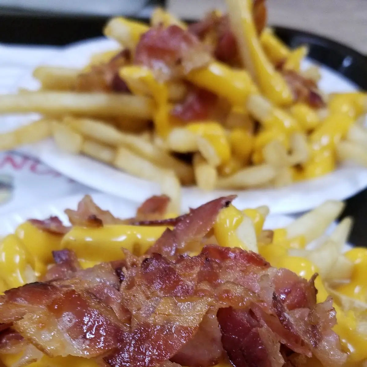 Bacon Cheese Fries