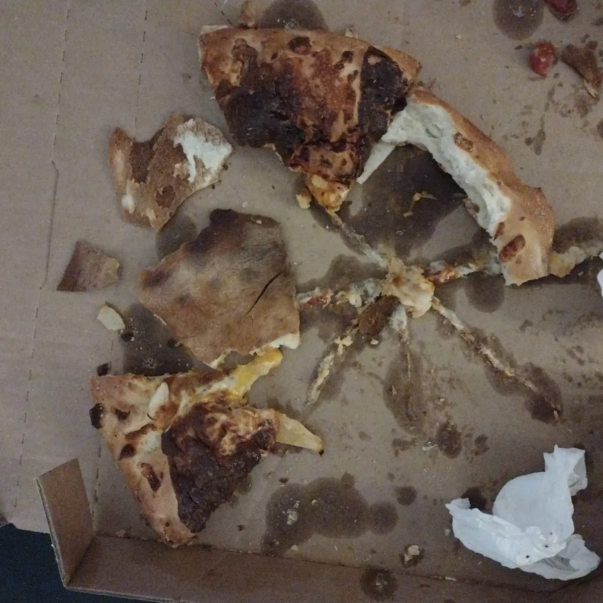 It Was Suppose to Be a Pizza